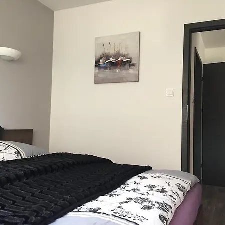 Cztery Pory Roku טיצ'י