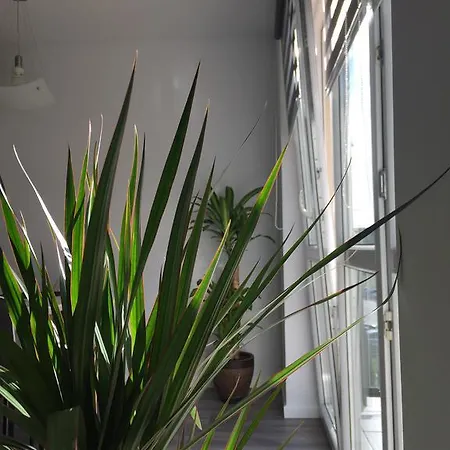 Cztery Pory Roku Tychy