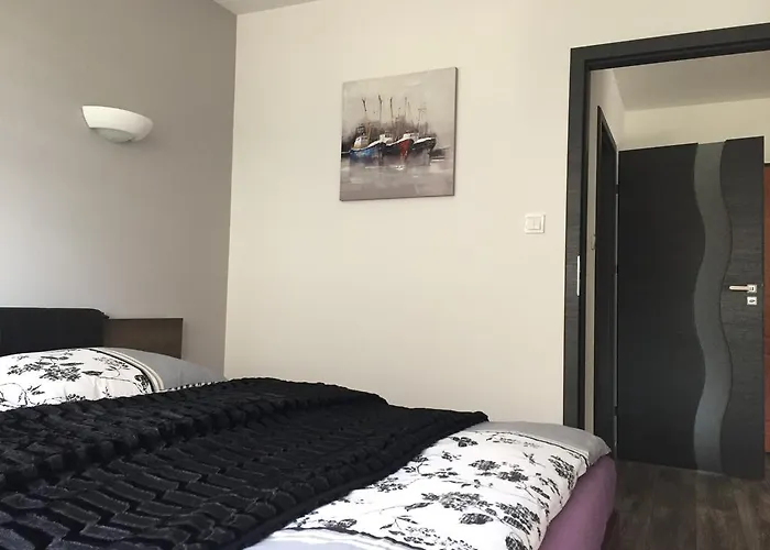 Cztery Pory Roku טיצ'י