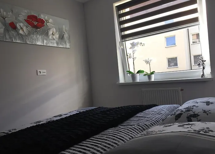 Cztery Pory Roku טיצ'י