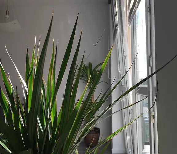 Cztery Pory Roku טיצ'י